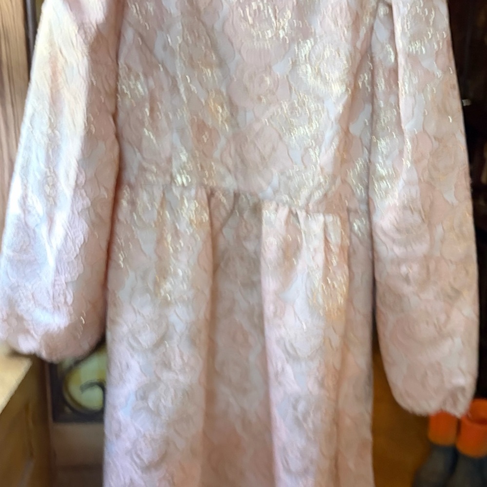 TCEC Blush Long Sleeve Lace Dress